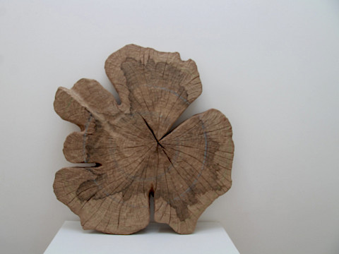 ON NOW: Nao Matsunaga ‘A Year’s Thought’